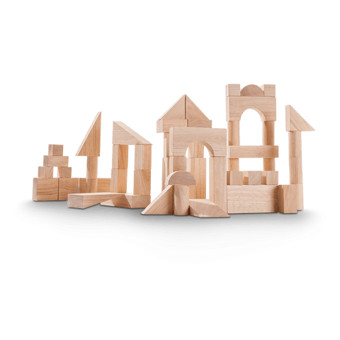 50 UNIT BLOCKS PLANTOYS