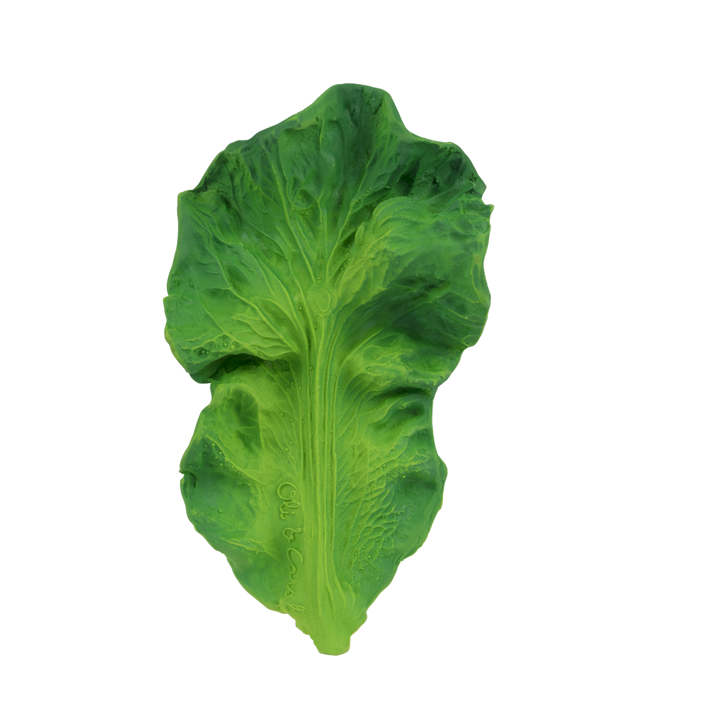 KENDALL THE KALE