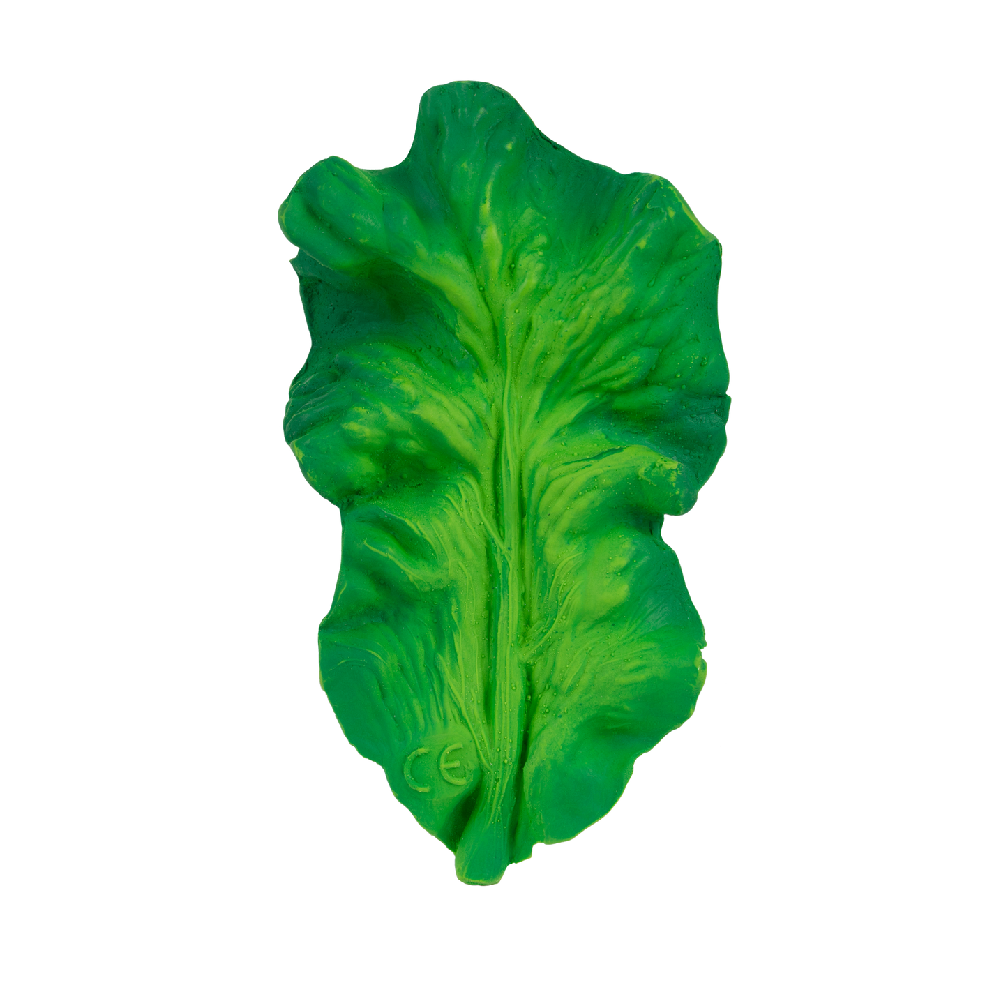 KENDALL THE KALE