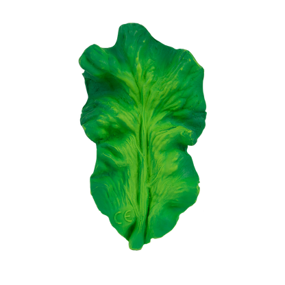 KENDALL THE KALE