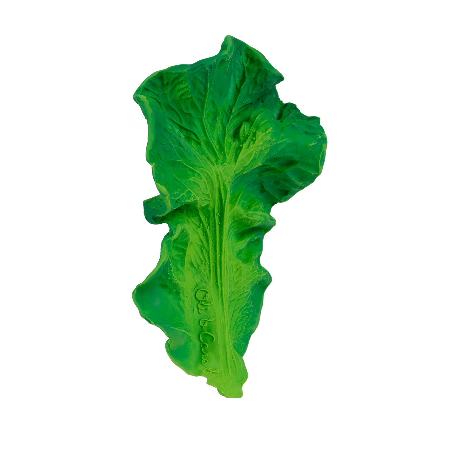 KENDALL THE KALE